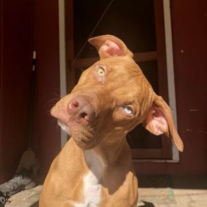 Meet your Posher, Lane